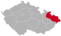 Bolonka Zwetna Züchter in Mähren-Schlesien,MO, Moravskoslezský kraj, Mährisch-Schlesische Region